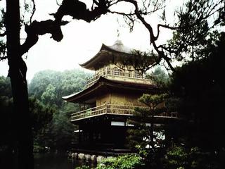 Behaarte Fotze verlangt nach einen Schwanz