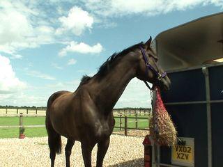 Vollbusige Brünette gibt geilen Blowjob vor der Kamera