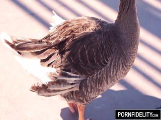 Ebony Babe Ana Foxxx fickt weißen Schwanz